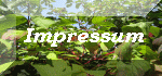 Impressum