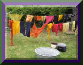 Button Naturfarben auf der Leine