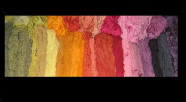 Naturfarben auf Wolle und Seide Mai 2009