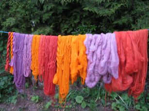 Cochenille mit Blauholz und Orleansaat und Krapp